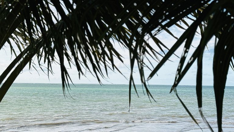 MHV Milagres - Casa OKA 37 Votre refuge en bord de mer, conf