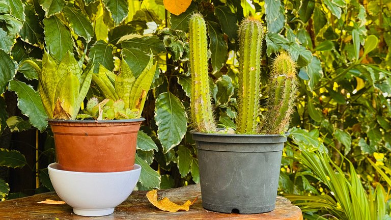 MHV Milagres - Casa OKA 37 Su refugio frente al mar, comodid