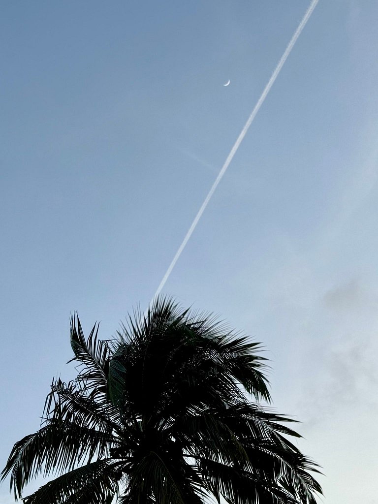 MHV Milagres - Casa Flora Refugio Amplo e Confortável a pouc